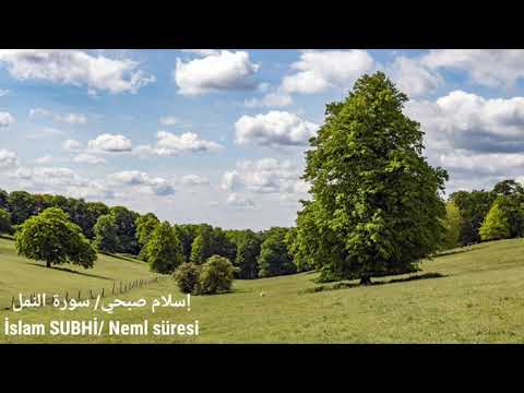 إسلام صبحي قصة سيدنا سليمان مع بلقيس