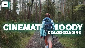 Cinematic Moody Colorgrading In VN | VN Video Editor | Tutorial