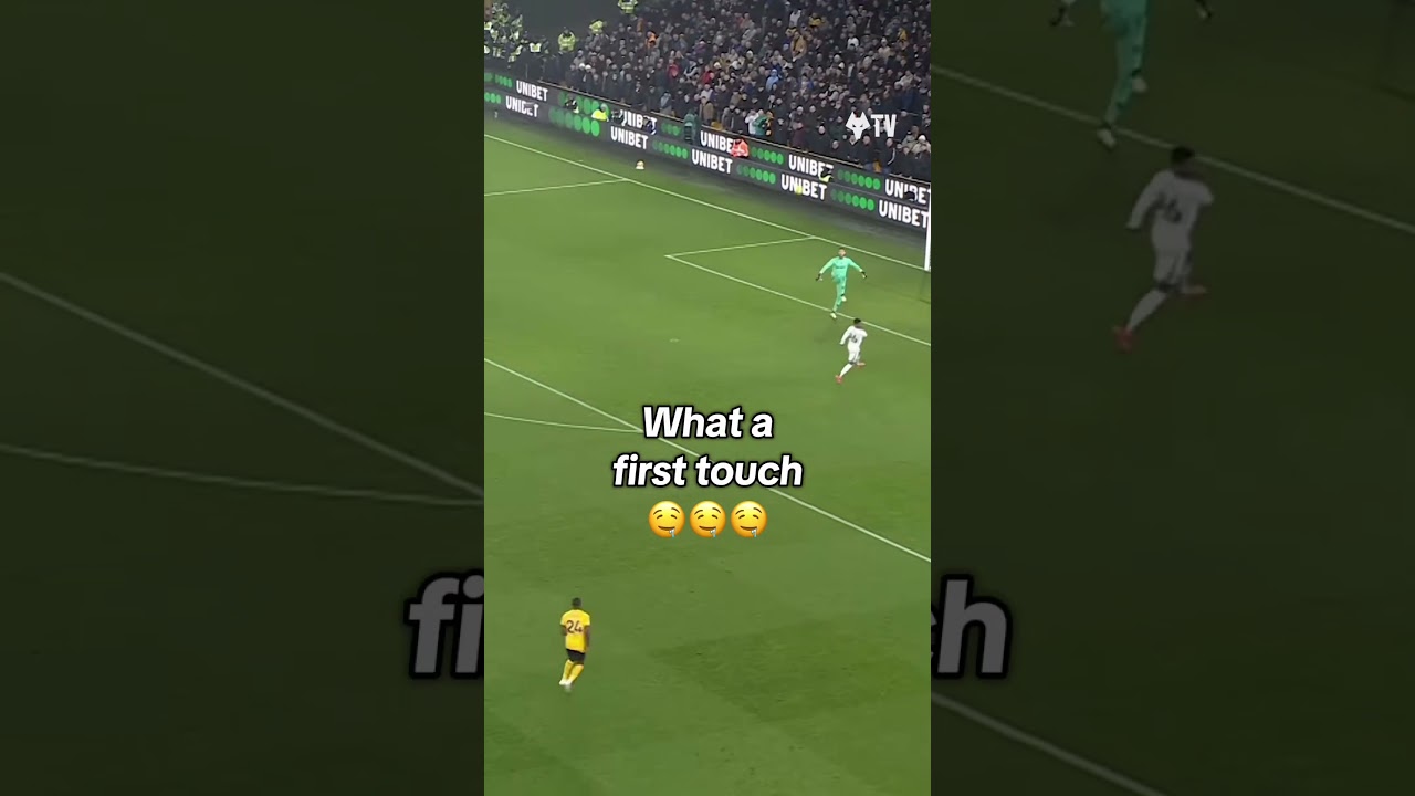 First time touch 🥶 pure skill