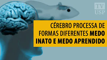 Como funciona o medo?