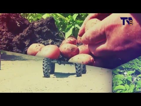 20 აპრილის \"ფერმერის საათის\" ანონსი