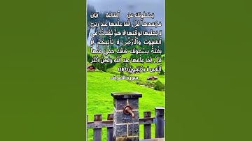 ايات بينات من سورة الأعراف   #سورة_الأعراف