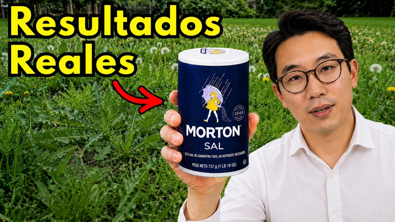 ¡Elimina las malas hierbas rápidamente y evita que vuelvan para siempre!