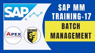 Batch Management in SAP MM