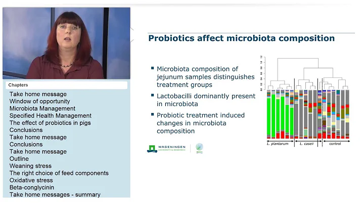 Webinar: The effect of dietary stress weaning piglets