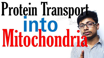 Protein transport in mitochondria