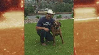 New Mexico man's missing dog found in California 3 years later
