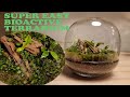 I Made A Bioactive Glass Dome Terrarium | DIY Ecosystem