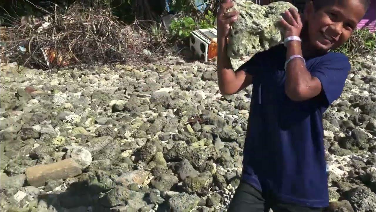 Disappearing Corals in Marshall Islands, Our Home Our Ocean by Tolfina