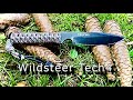 Wildsteer tech4