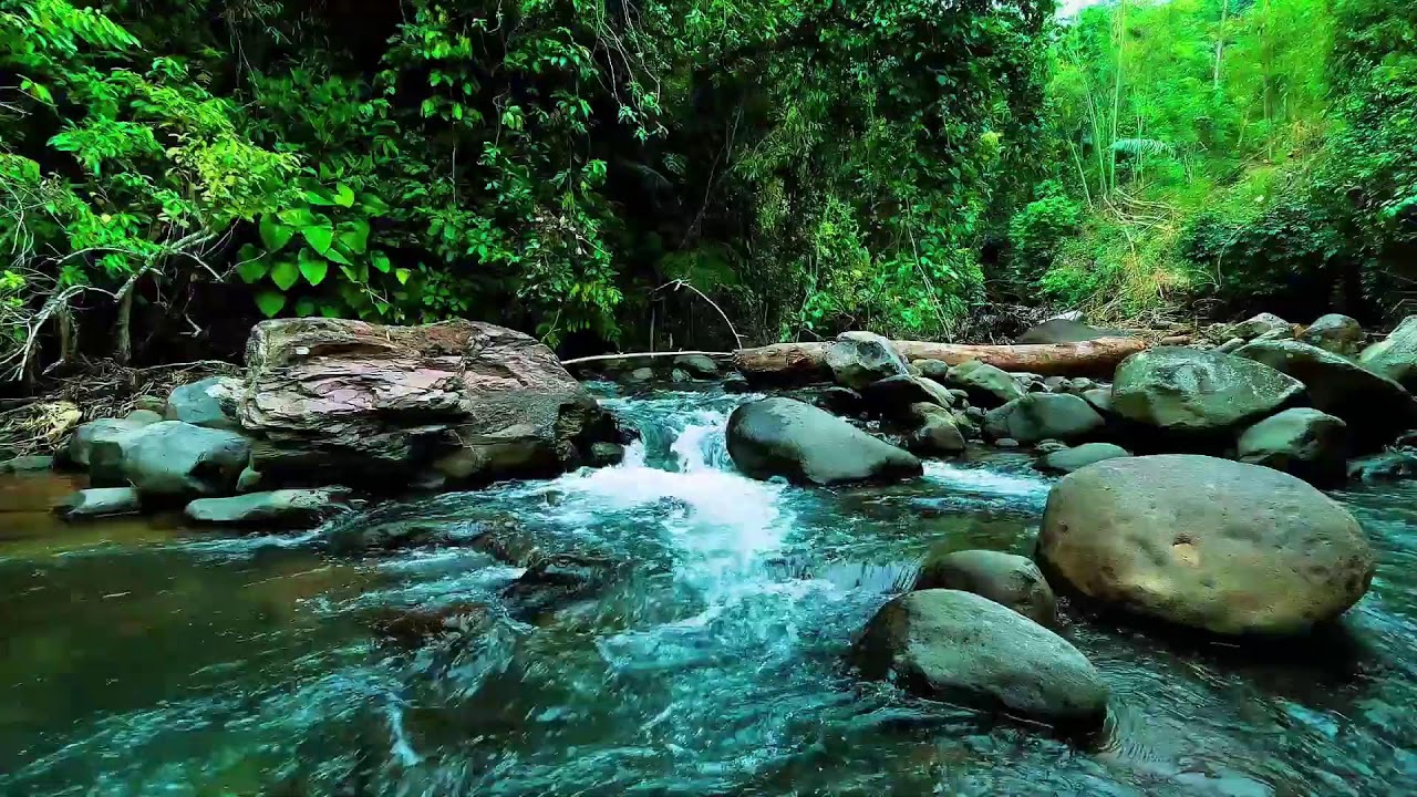 12 Hours Deep Sleep Sounds – River White Noise No Music