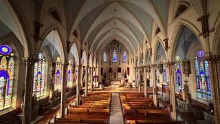 Daily Mass & Rosary (Monday-Saturday)