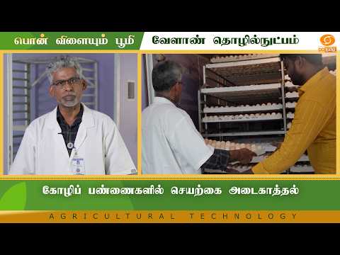 Artificial Incubation in Poultry Farms | Agri Technology
