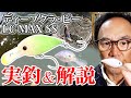 【夏冬・紹介】ディープクラ・ピーLC MAX SSの実釣＆解説【今井康仁】