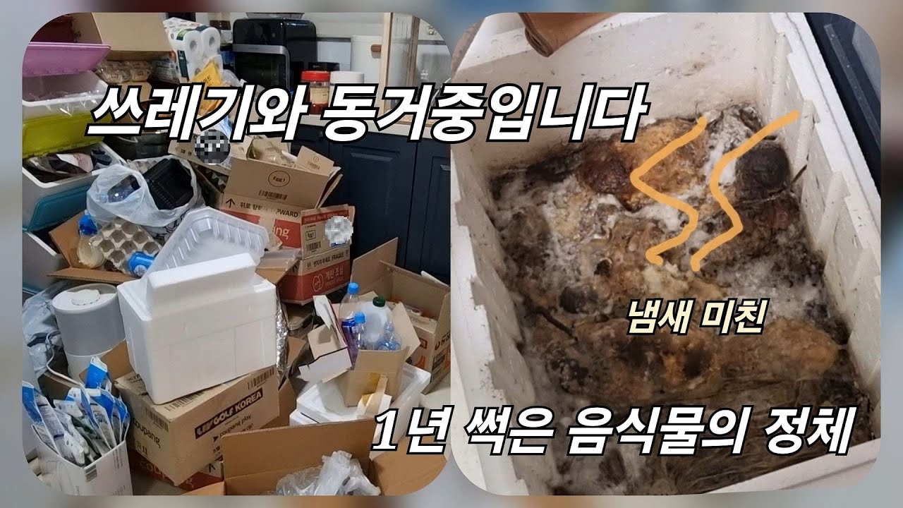 냄새 테러 지옥의 뚜껑을 열다... 주방물건 비우고 미니멀 라이프 시작합니다..#무기력 #미니멀라이프 #살림 #우울감 #주부일상 #청소