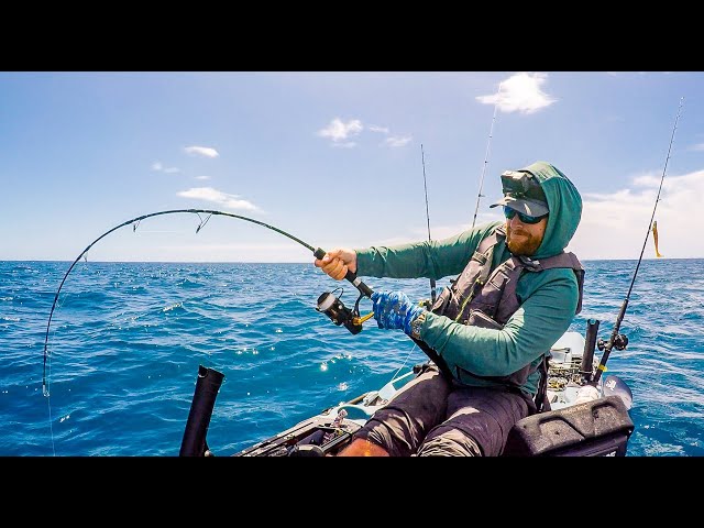 best trout fish lures Best Lure Tactics for Sea Trout Fishing