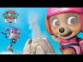 Skye saves Tiger&#39;s from a volcano and more! | PAW Patrol | Cartoons for Kids Compilation