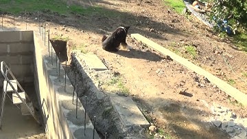 Building a block pool