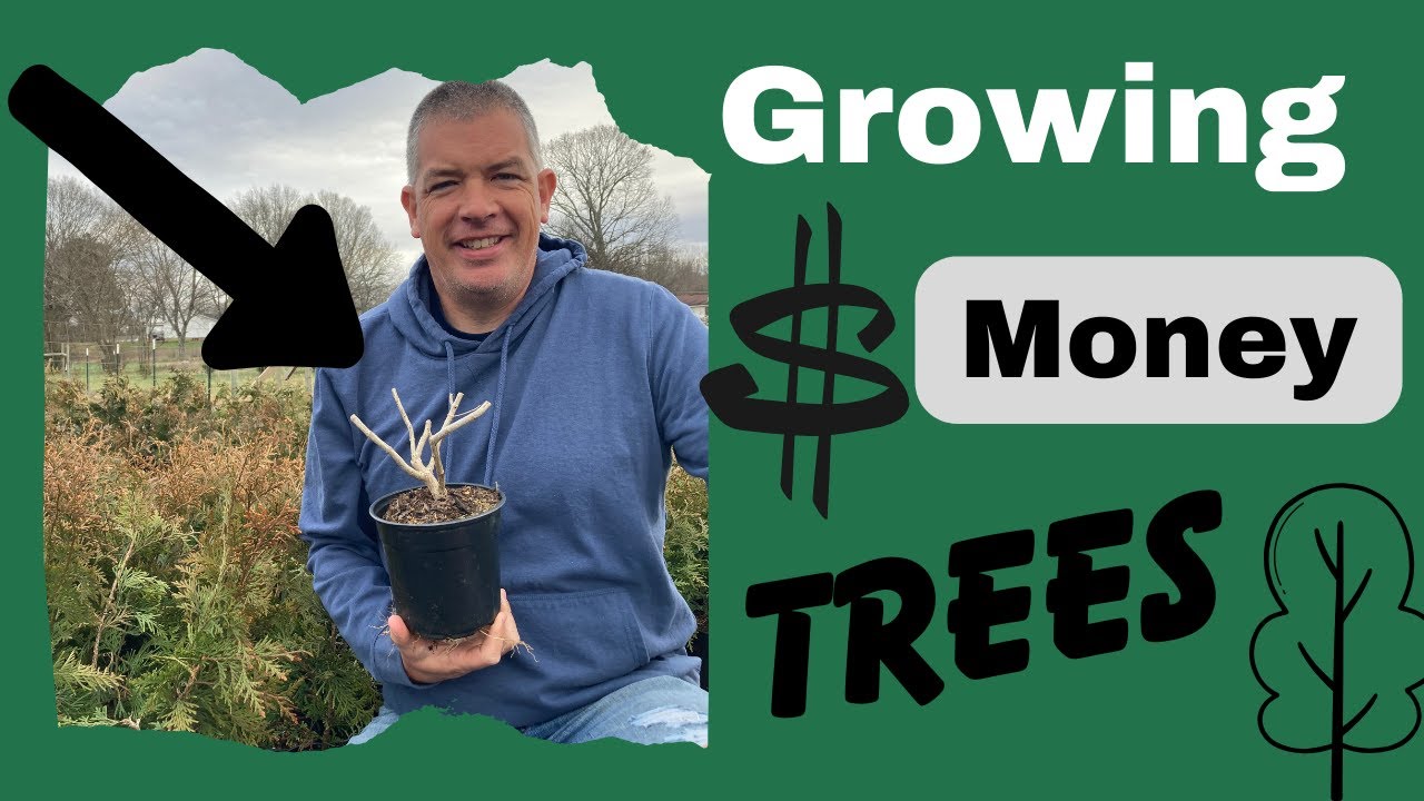Making Money With Plants - Preparing plants for Spring sales - YouTube