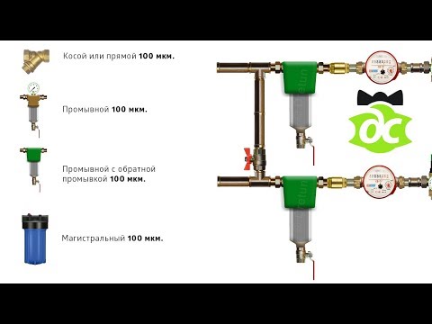 Video: Razlika Između Mikronukleusa I Makronukleusa