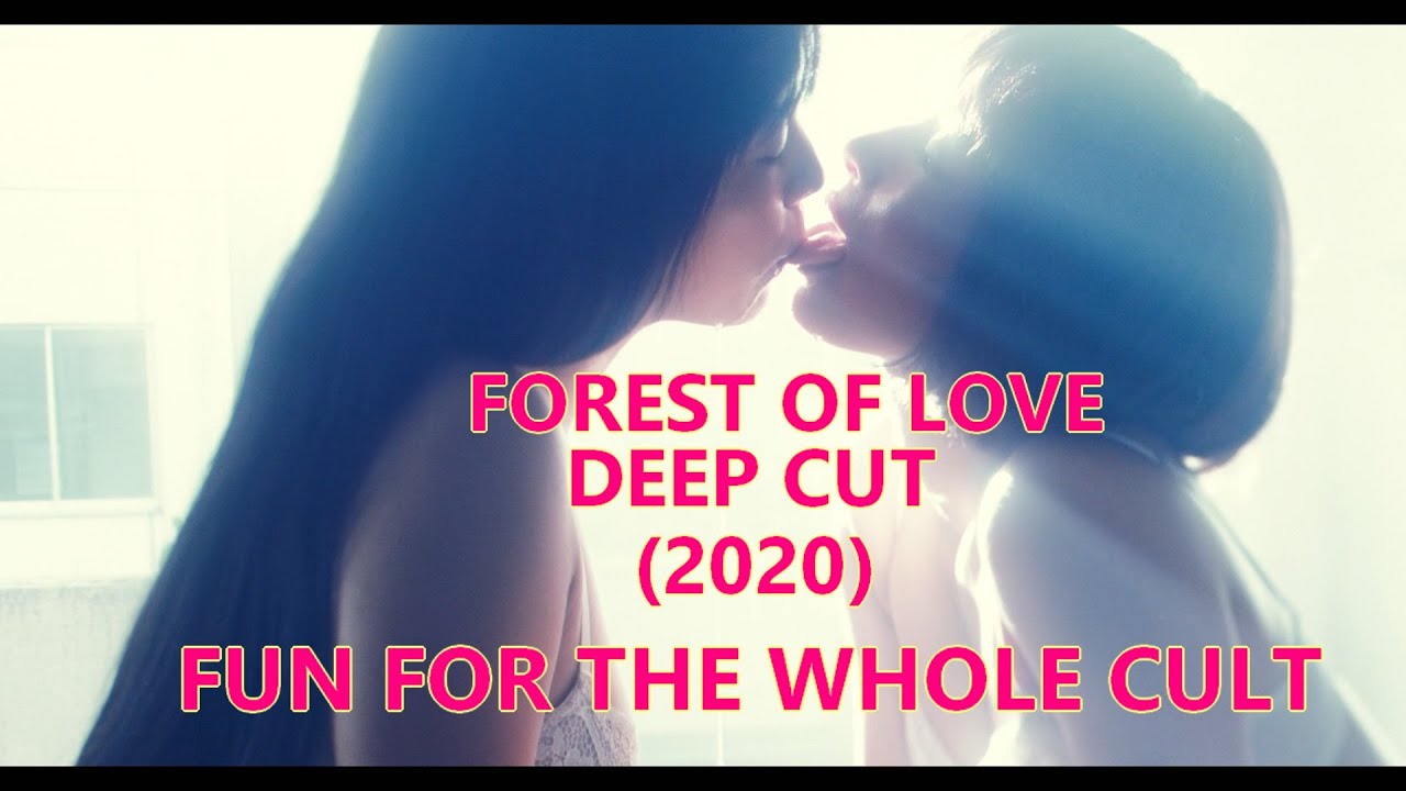 THE FOREST OF LOVE: DEEP CUT (no spoilers) Sion Sono does it again