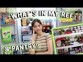 WHAT'S IN OUR FRIDGE AND PANTRY! ⎜ Tin Aguilar
