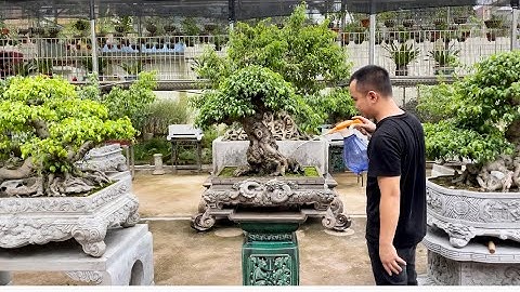 Nhỏ nhưng có võ