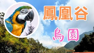 南投鹿谷 | 鳳凰谷鳥園生態園區 | Fonghuanggu Bird and Ecology Park