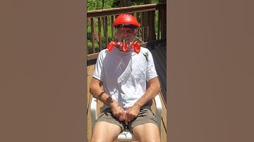 HummViewer in Action!