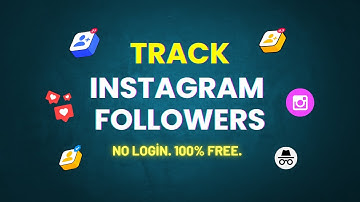 Check Any Instagram Follower Count in Real Time (Free & Anonymous)