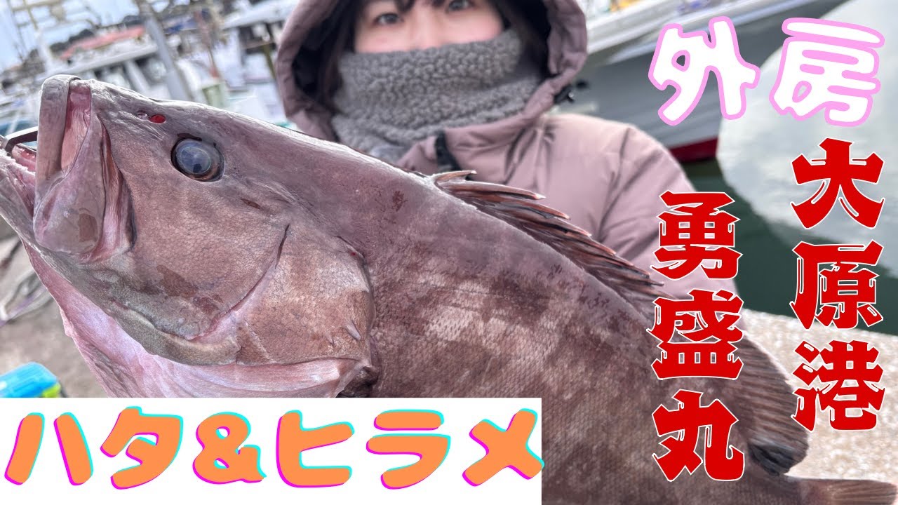 【泳がせ釣り】嫁爆釣!?マハタに取り憑かれた夫婦が行く。真冬の外房大原 狙え!!真冬の高級魚【マハタ】【ヒラメ】