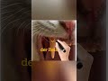 اجزاء جسم الحيوان 4      حيوانات حيوانات برية طيور  