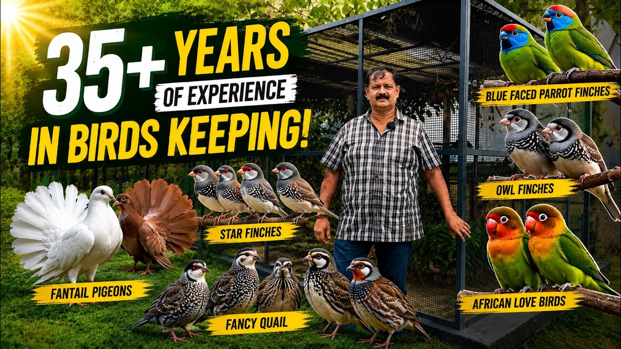 35+ Years of Exotic Bird Keeping! Rare Aviary Tour | Meet a Legendary ...