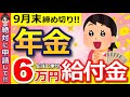 【知らないと損！】申請で一生年金に6万円上乗せ！年金生活者支援給付金は今すぐ絶対に申請して！【老齢年金/遺族年金/障害年金】