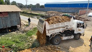 First Jobs New Project Filling Pond Dam Near A Home With Skills Dump Truck D20P Komatsu Dozer Work