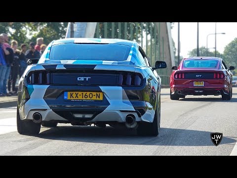 LOUD Ford Mustang (Shelby) GTs In ACTION! BURNOUT, REVS & More Sounds!