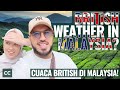 British weather in malaysia exploring cameron highlands mystical charm  episode 9
