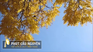 PHÚT CẦU NGUYỆN, THỨ TƯ 29/11/2017