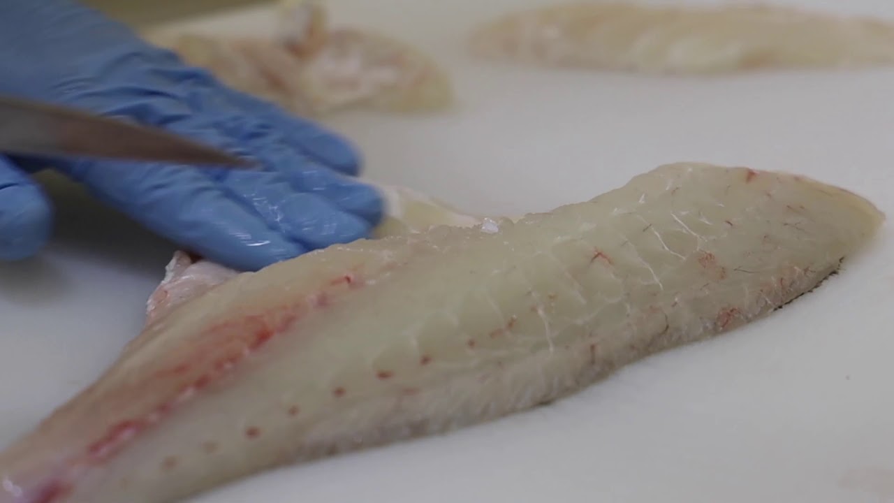 カネキ水産 カネキ印の来島鯛