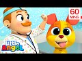 Bingo&#39;s Vet Visit: New Puppy&#39;s Journey! | Animals for Kids | Animal Cartoons | Funny Cartoons