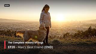 The Complete History of Dogs | EP20 — Man's Best Friend (END)