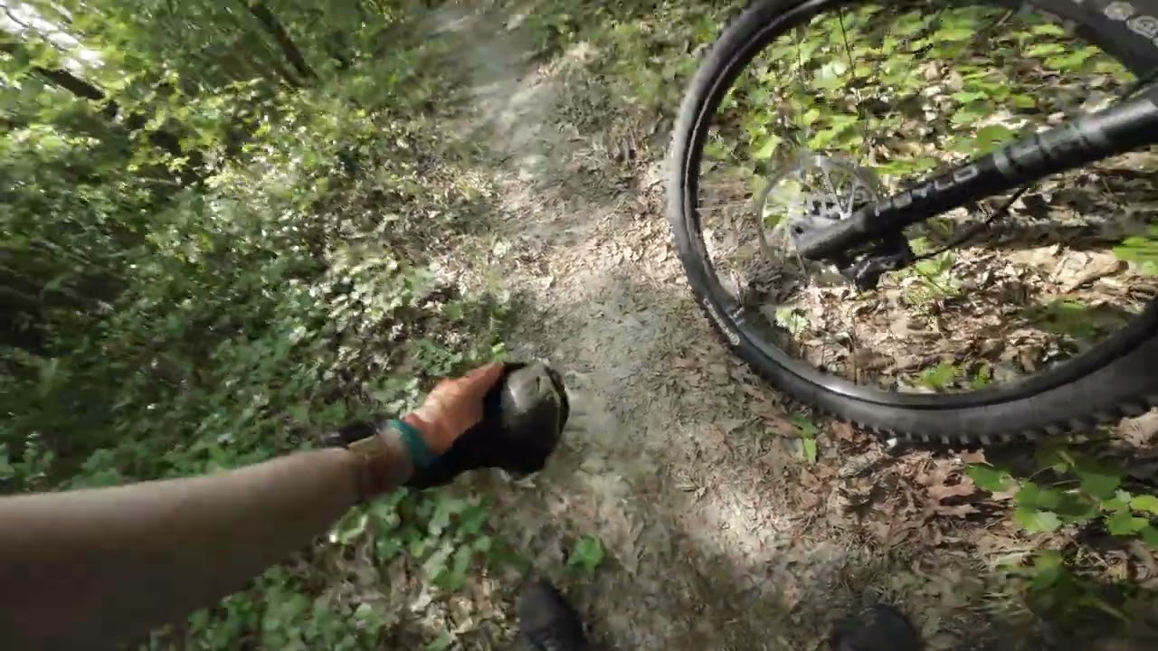 Browns Creek April 2025