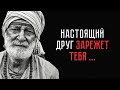 Ты Обязан знать это! Цитаты О дружбе