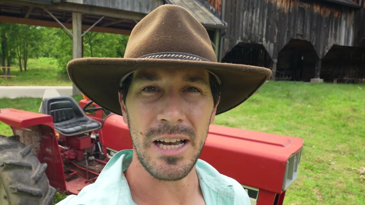 Foraging Adventure: Harvesting Wild Blue Vervain & Cultivated Calendula on Our Farm