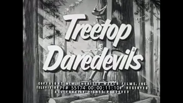 " TREETOP DAREDEVILS "  1950s LUMBERJACK & LUMBER INDUSTRY FILM  55174