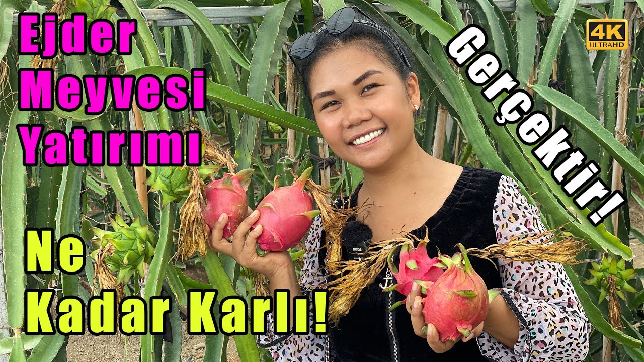 Ejder Meyvesi ile Nasıl 1 Yılda 100 Bin TL Kazandı