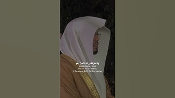 تلاوه هادئه بدون مايك | يَا أَيُّهَا الَّذِينَ آمَنُوا اتَّقُوا اللَّهَ | ياسر الدوسري | رشد 🎧🤍
