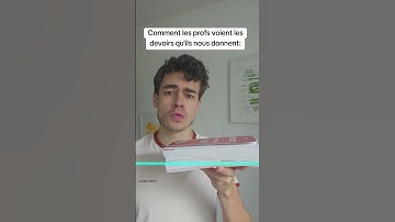 Comment les professeurs voient nos devoirs 😂