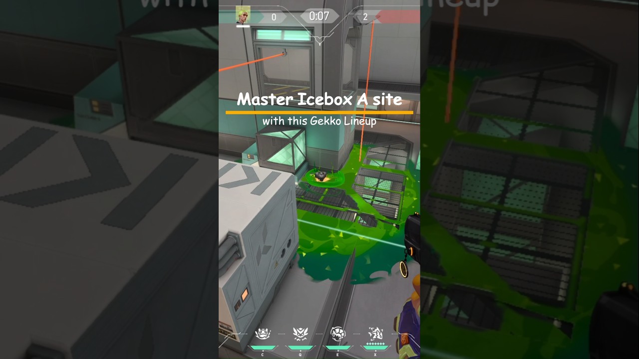 Master Icebox A site with this Gekko Lineup 