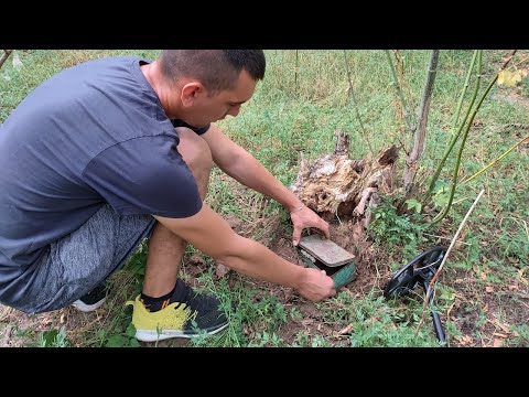 Cutie îngropata la